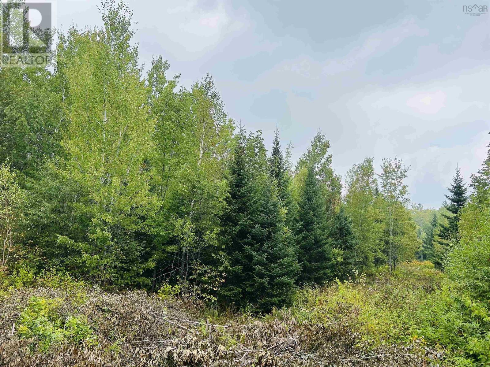 Lot Alpena Road, East Inglisville, Nova Scotia  B0S 1M0 - Photo 7 - 202521742