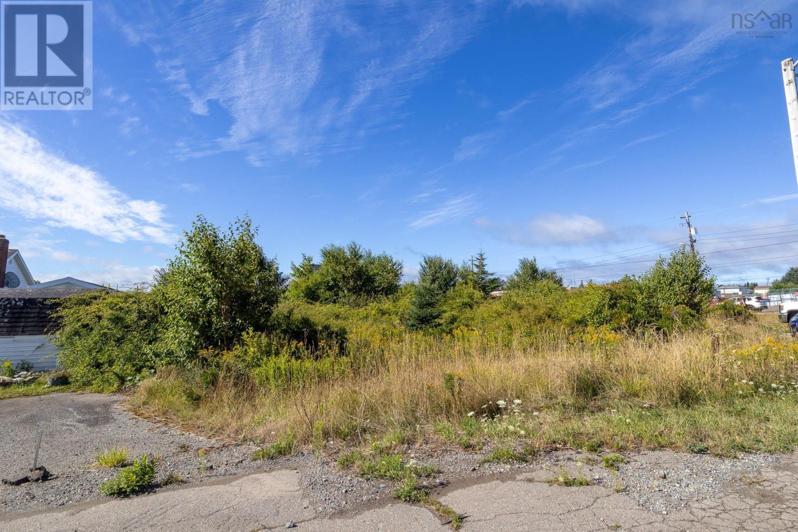 324 Convent Street, New Waterford, Nova Scotia  B1H 2Z1 - Photo 10 - 202521763