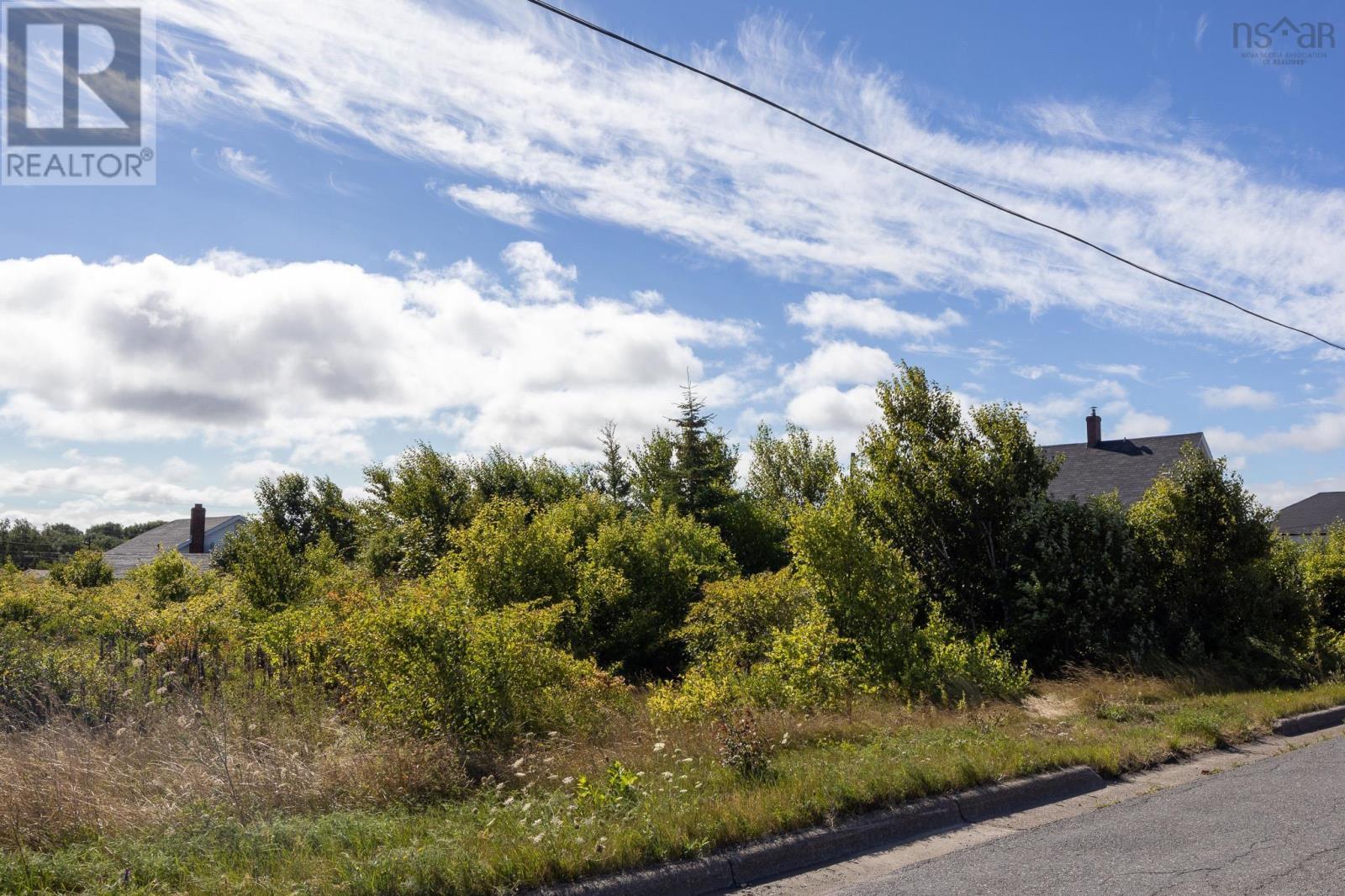 324 Convent Street, New Waterford, Nova Scotia  B1H 2Z1 - Photo 11 - 202521763