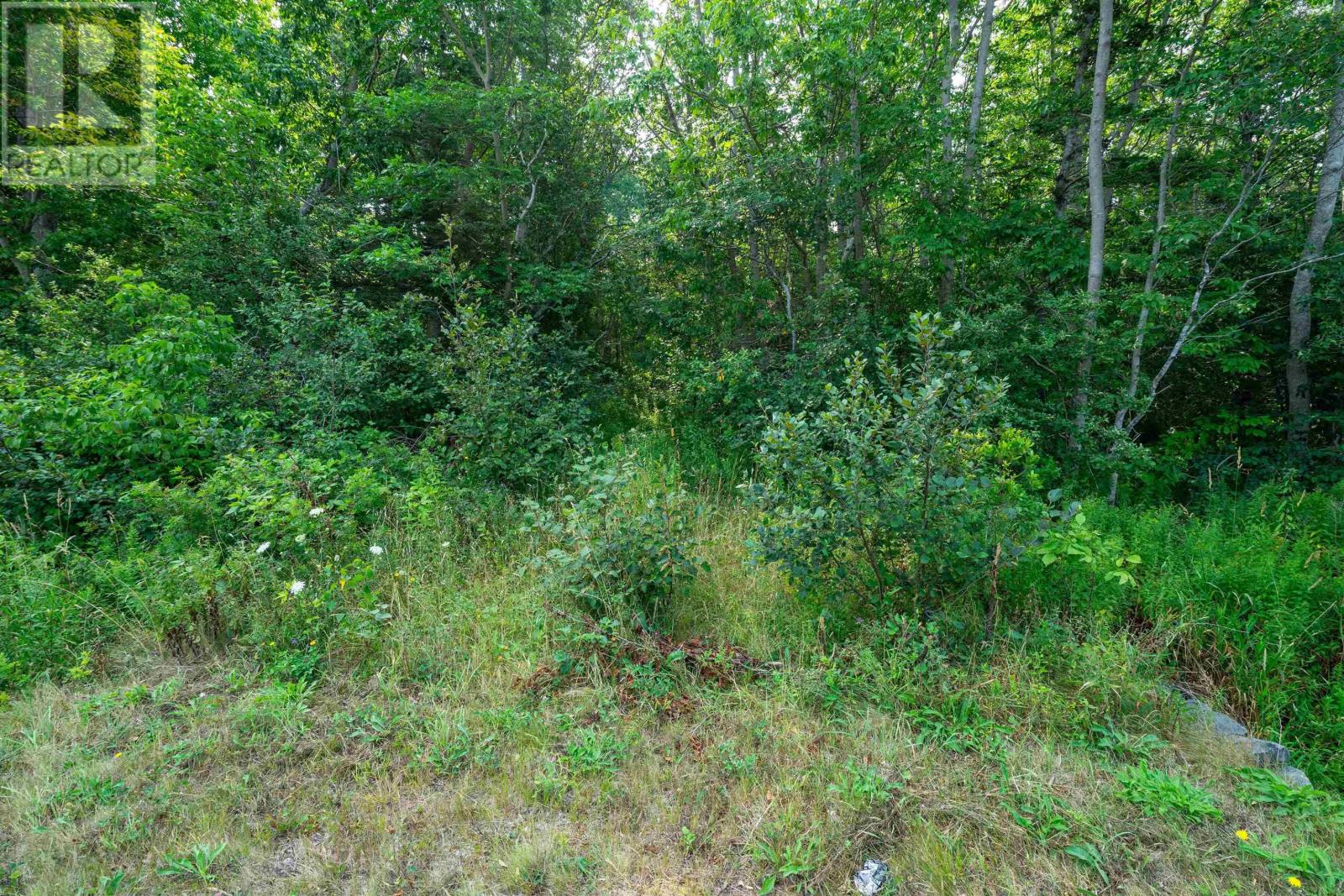 Lot Highway 101, Plympton, Nova Scotia  B0W 2R0 - Photo 9 - 202521802