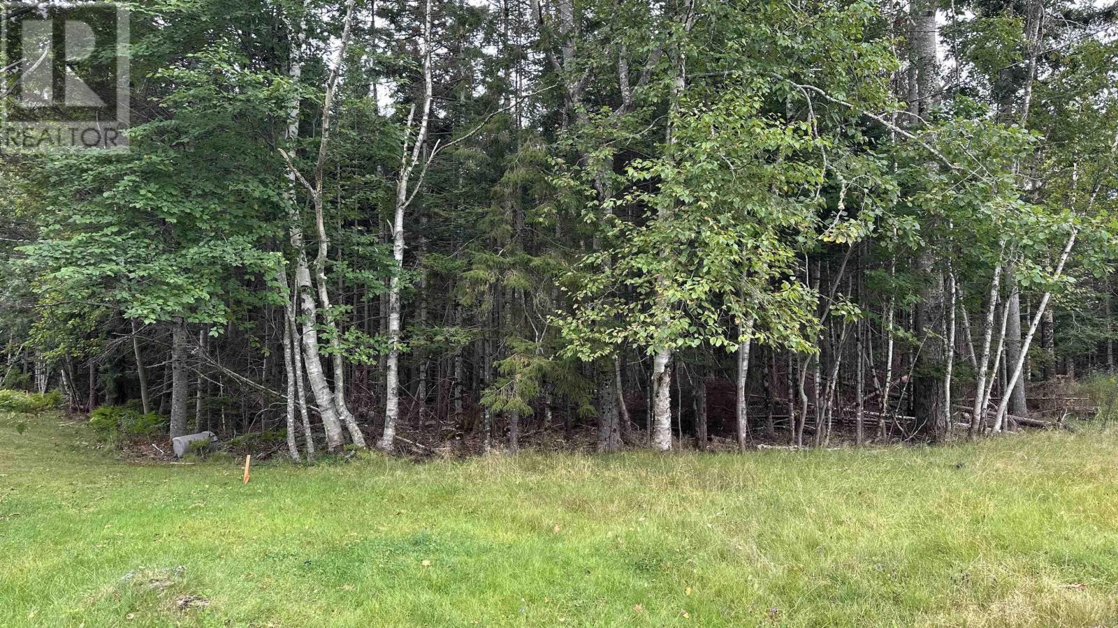 81a First Court, Valley, Nova Scotia  B6L 2G7 - Photo 3 - 202521873