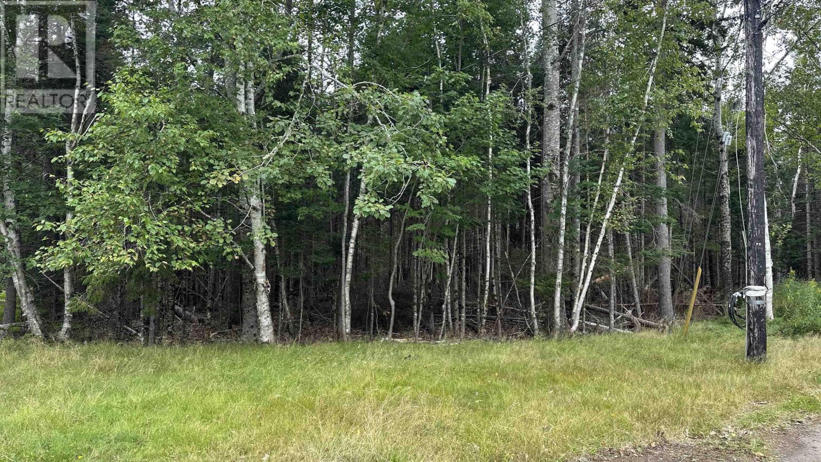 81a First Court, Valley, Nova Scotia  B6L 2G7 - Photo 4 - 202521873