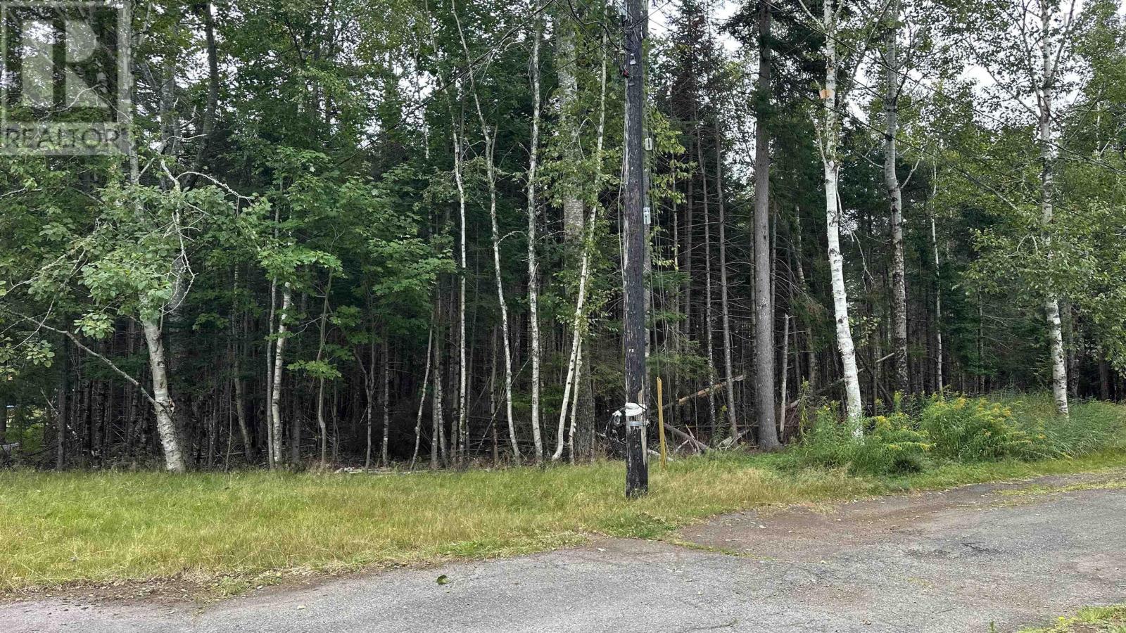 81a First Court, Valley, Nova Scotia  B6L 2G7 - Photo 5 - 202521873