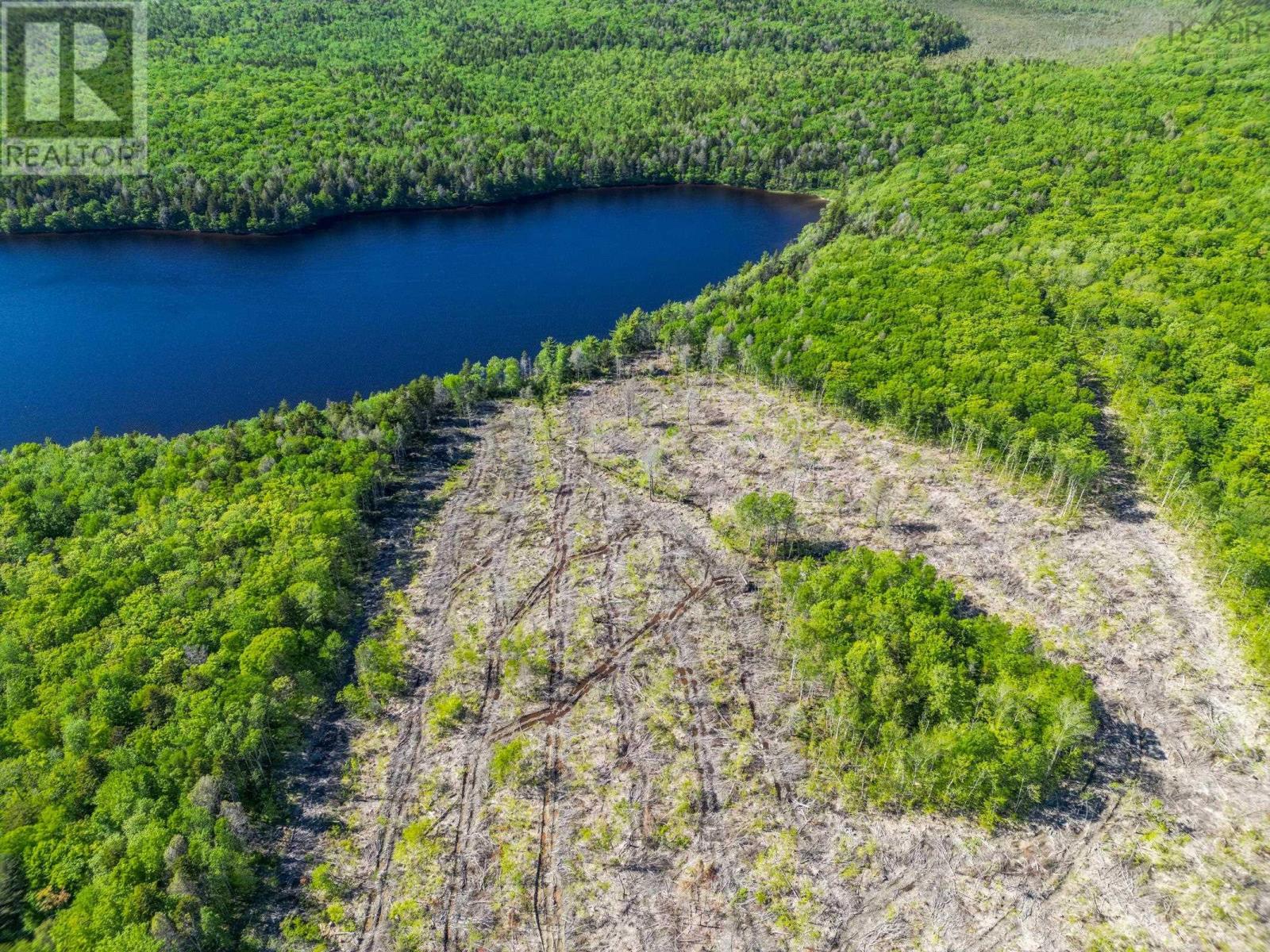 Lot Danvers Road, Danvers, Nova Scotia  B0W 3T0 - Photo 4 - 202521912