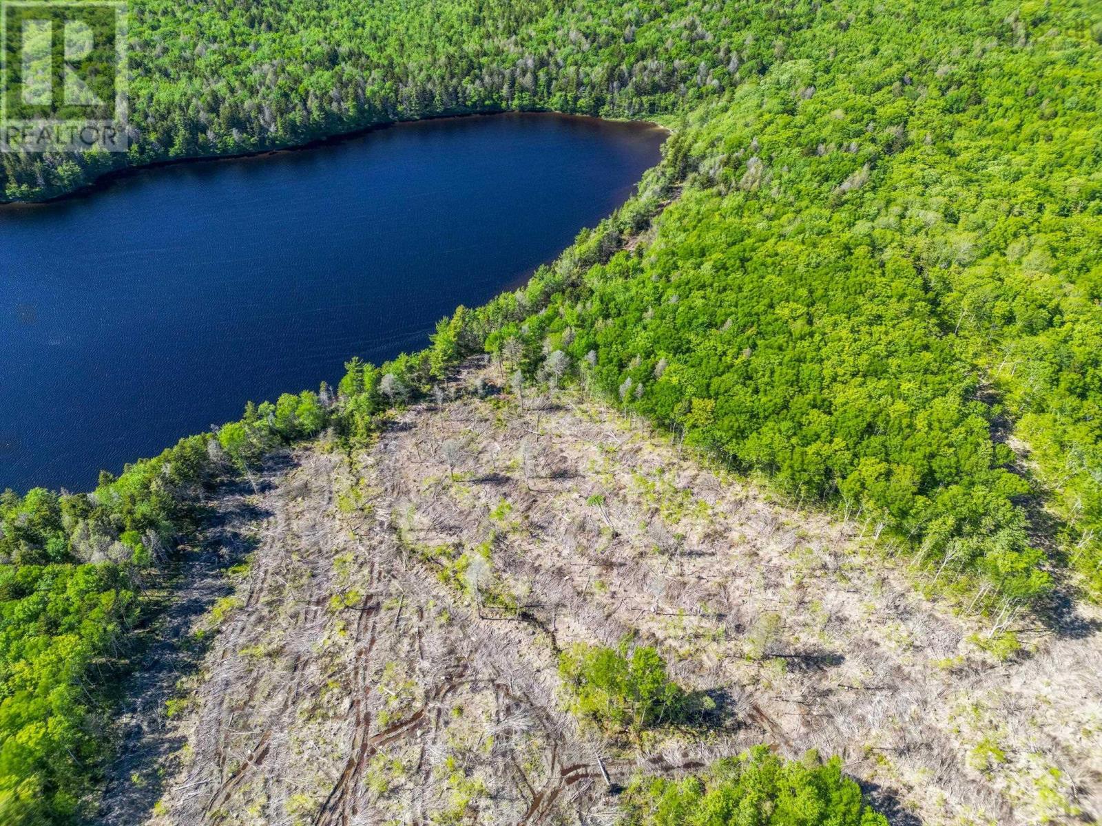 Lot Danvers Road, Danvers, Nova Scotia  B0W 3T0 - Photo 5 - 202521912