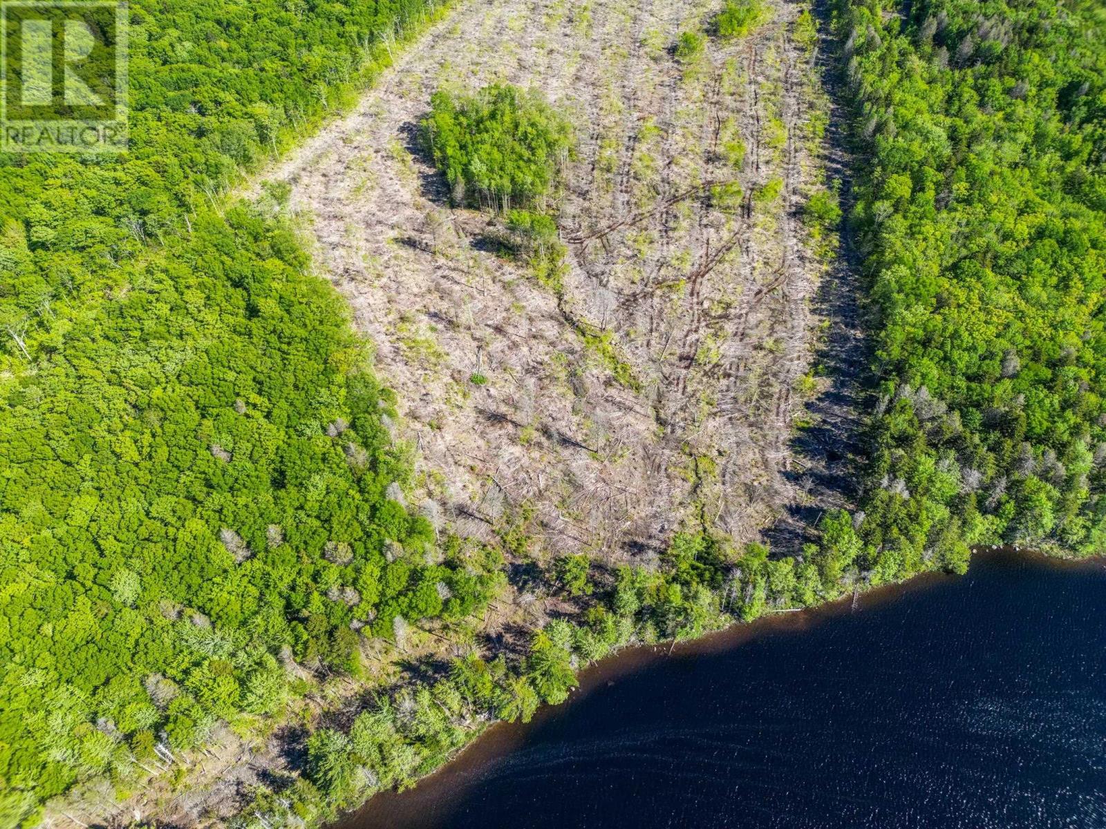 Lot Danvers Road, Danvers, Nova Scotia  B0W 3T0 - Photo 8 - 202521912