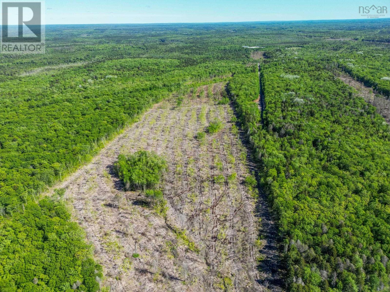 Lot Danvers Road, Danvers, Nova Scotia  B0W 3T0 - Photo 9 - 202521912
