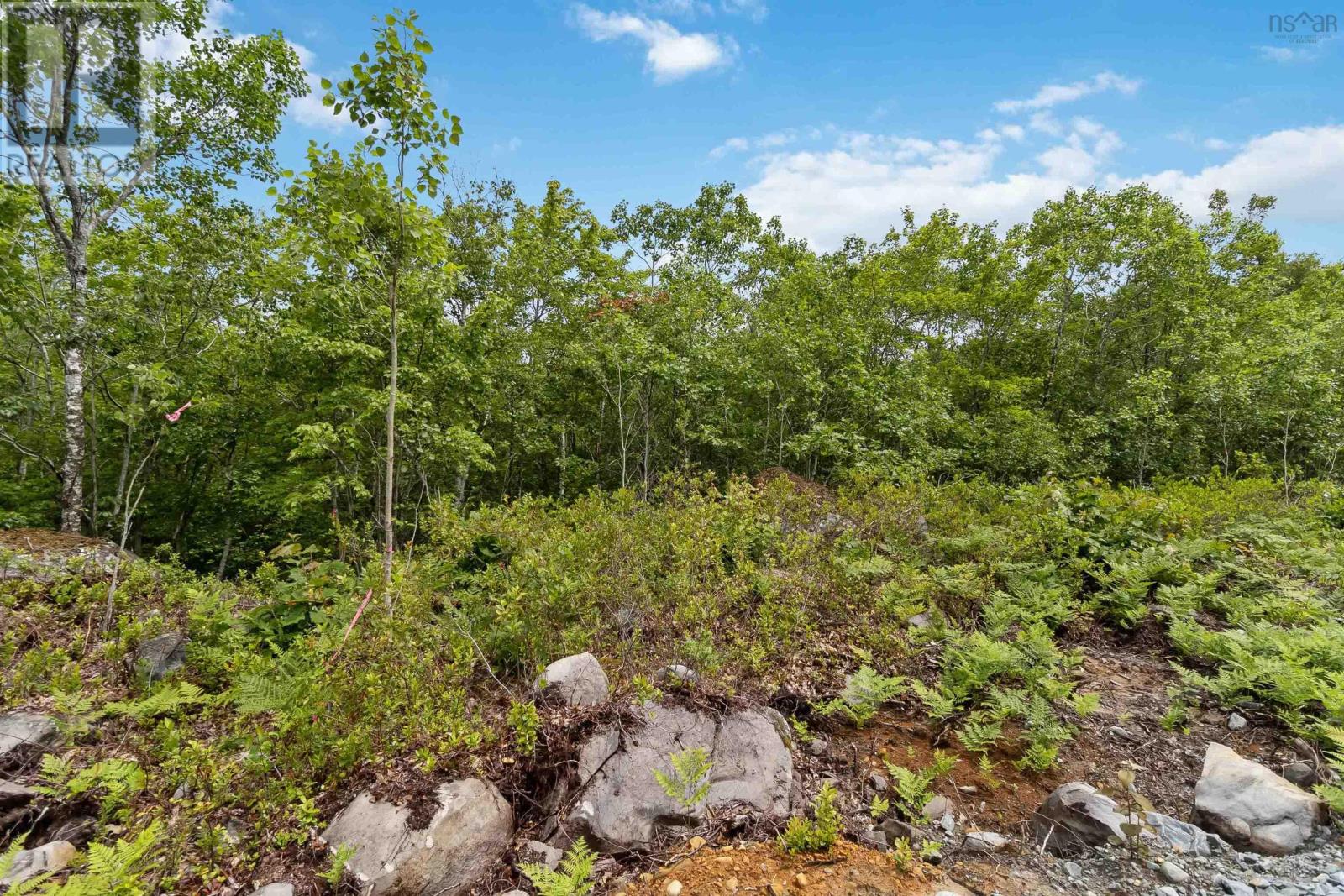 Lot 7 Maple Ridge Drive, White Point, Nova Scotia  B0T 1K0 - Photo 16 - 202521913