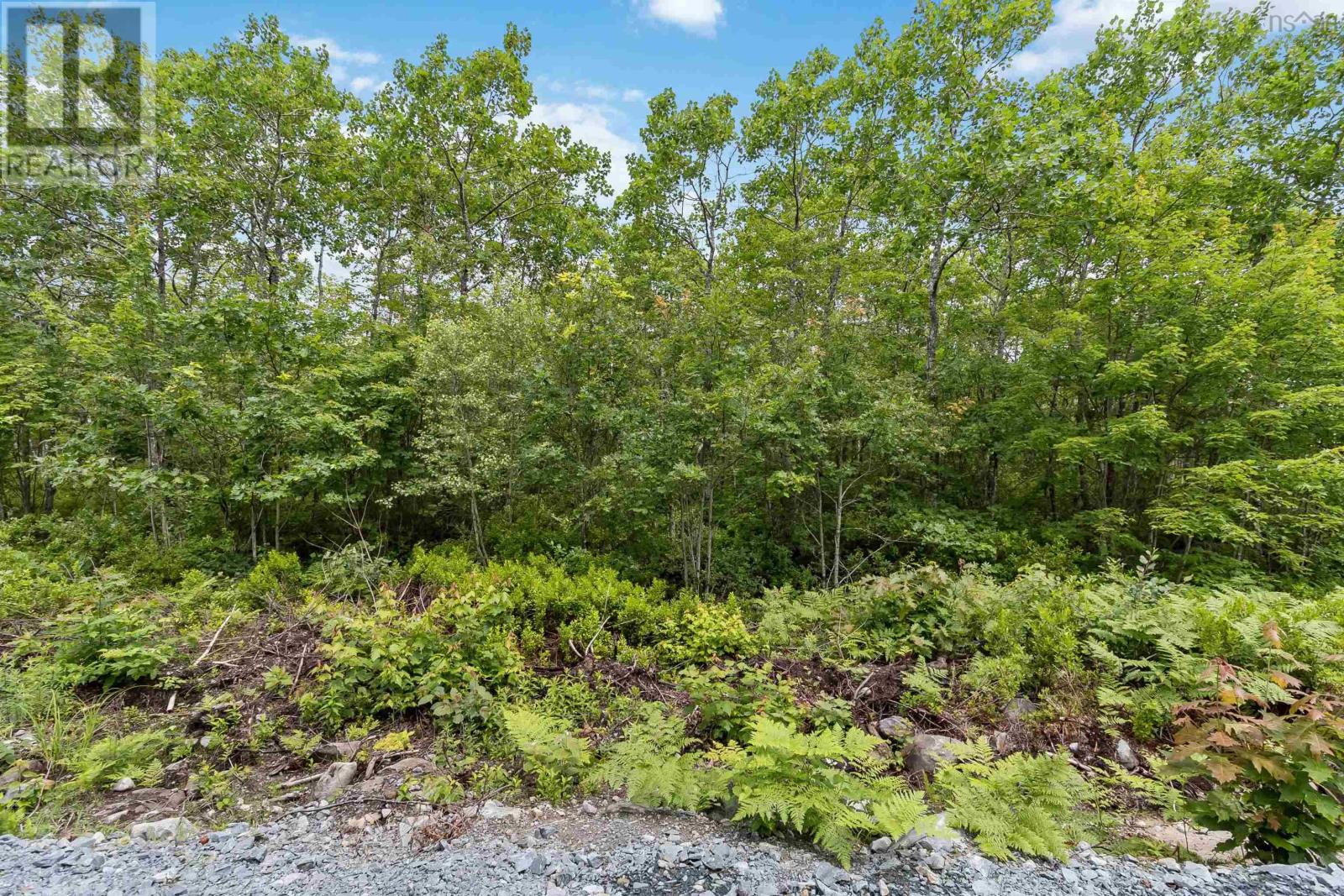 Lot 7 Maple Ridge Drive, White Point, Nova Scotia  B0T 1K0 - Photo 19 - 202521913