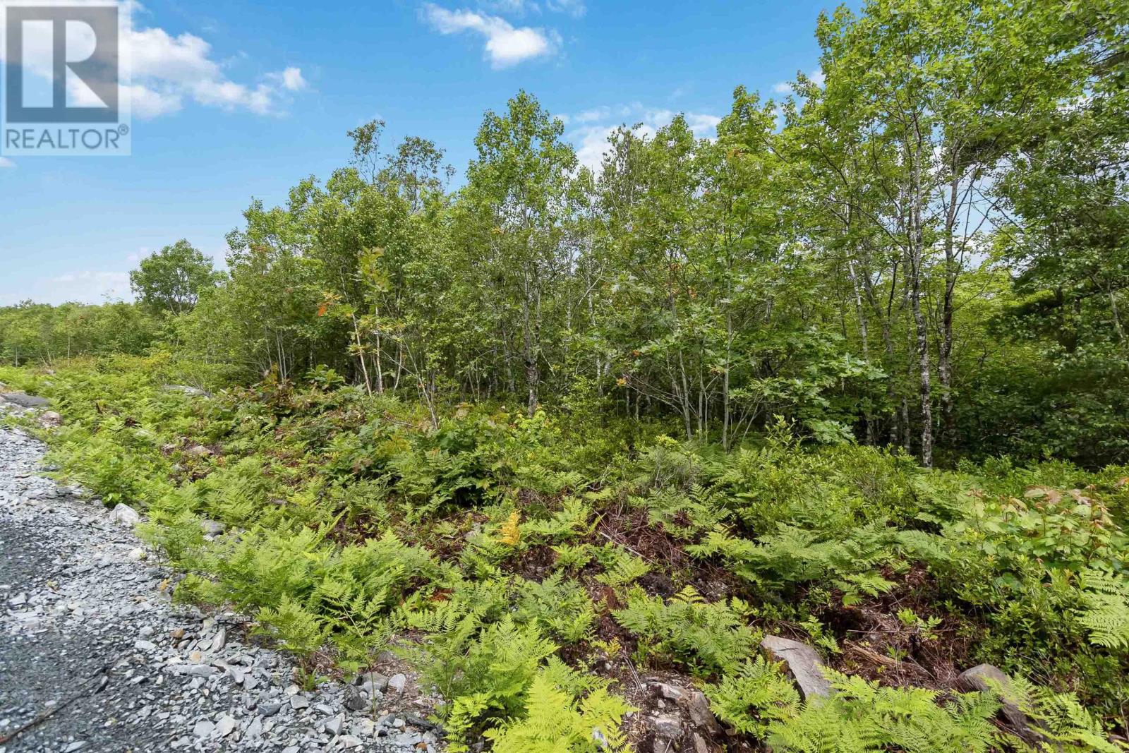Lot 7 Maple Ridge Drive, White Point, Nova Scotia  B0T 1K0 - Photo 6 - 202521913