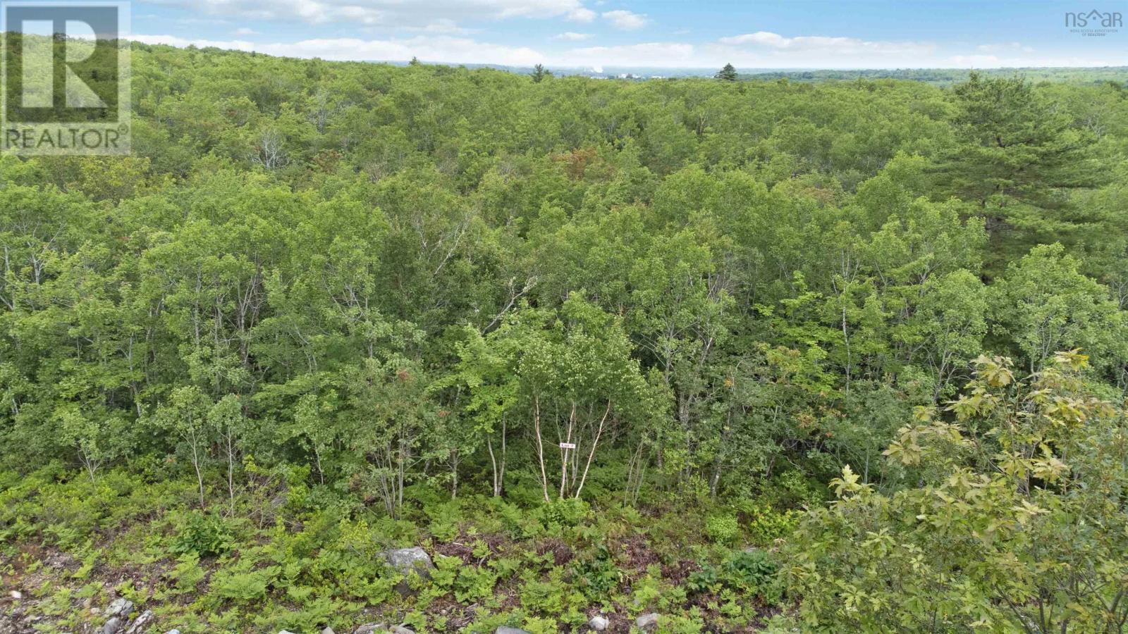 Lot 7 Maple Ridge Drive, White Point, Nova Scotia  B0T 1K0 - Photo 7 - 202521913