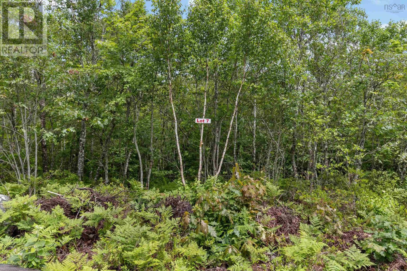 Lot 7 Maple Ridge Drive, White Point, Nova Scotia  B0T 1K0 - Photo 8 - 202521913