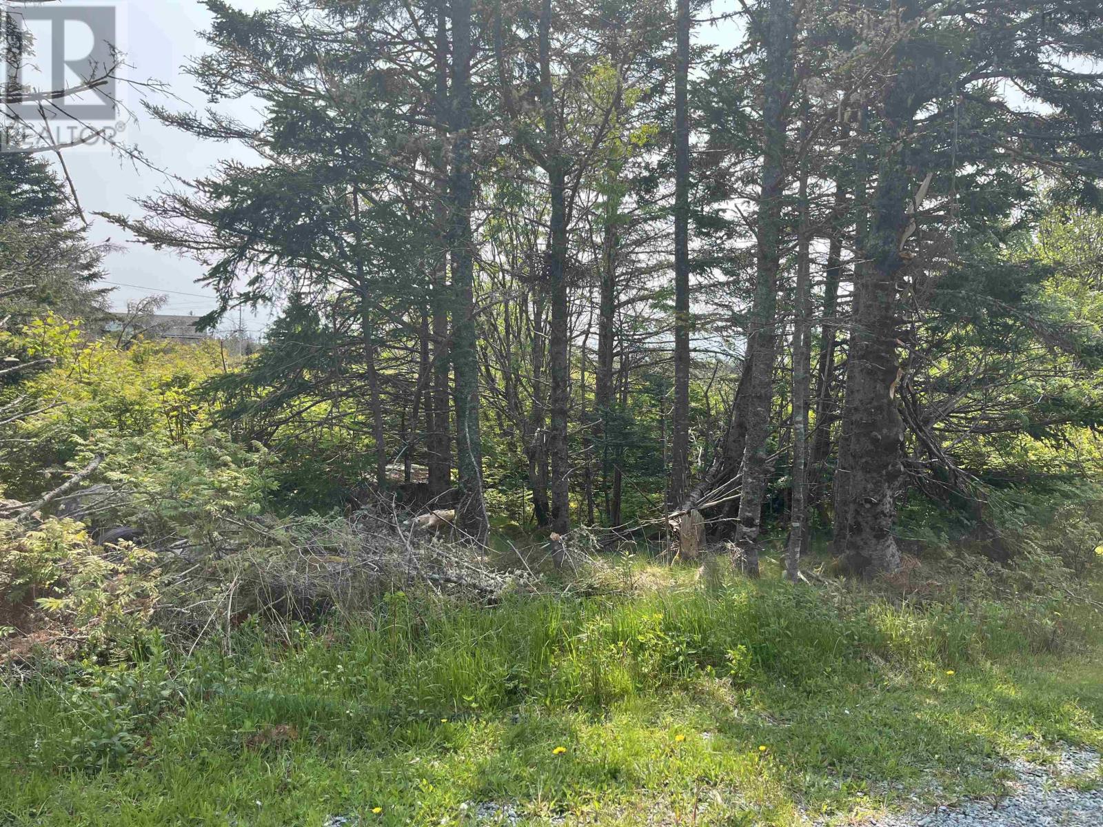 Lot 94 Shiers Road, Harrigan Cove, Nova Scotia  B0J 2K0 - Photo 16 - 202522013