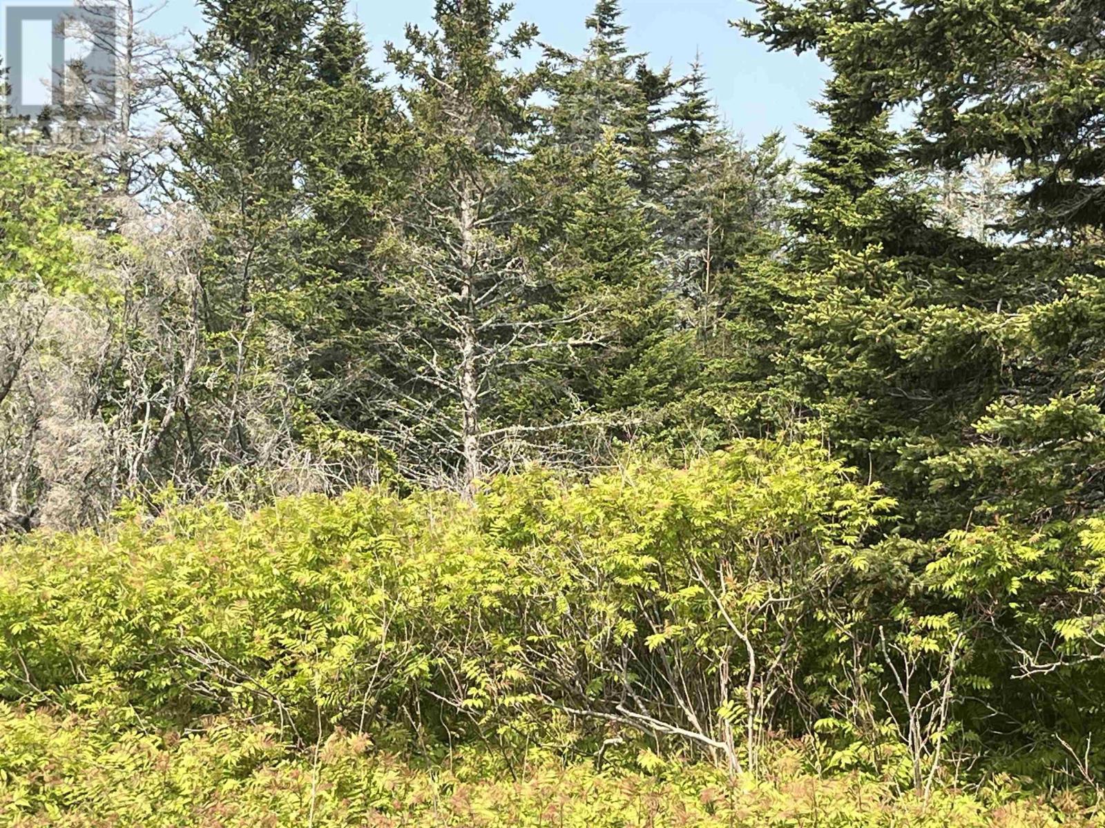 Lot 15 Shiers Road, Harrigan Cove, Nova Scotia  B0J 2K0 - Photo 9 - 202522014