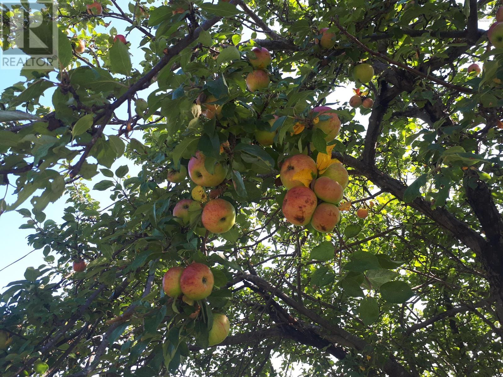 2664 Morrison Rd., Oban, Nova Scotia  B0E 3B0 - Photo 11 - 202522020