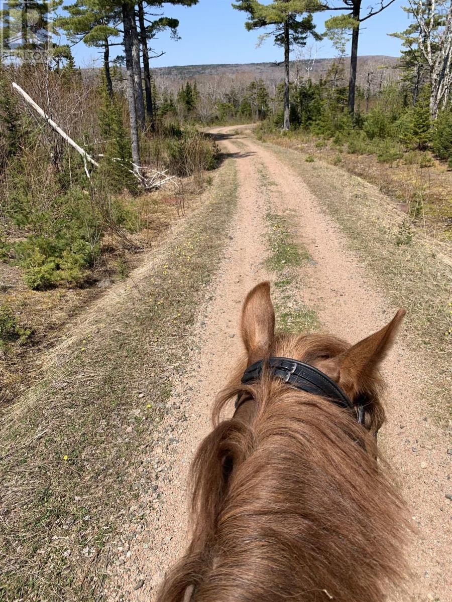 220 Campbell Road, West Bay, Nova Scotia  B0E 2Y0 - Photo 3 - 202522041