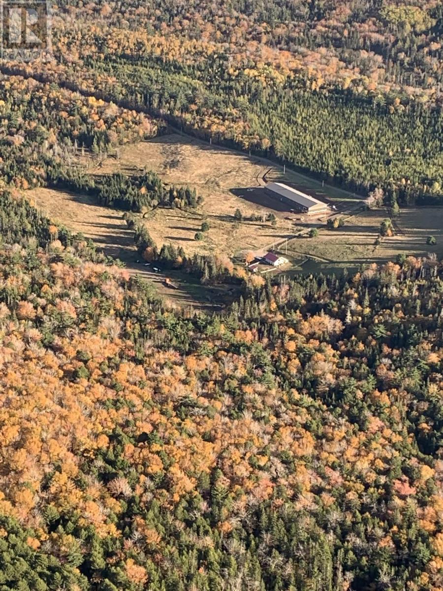 220 Campbell Road, West Bay, Nova Scotia  B0E 2Y0 - Photo 5 - 202522041