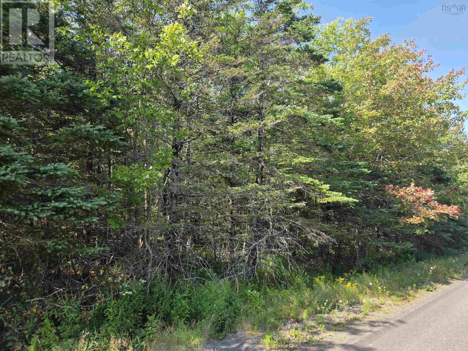 Culloden Road, Culloden, Nova Scotia  B0V 1A0 - Photo 5 - 202522103