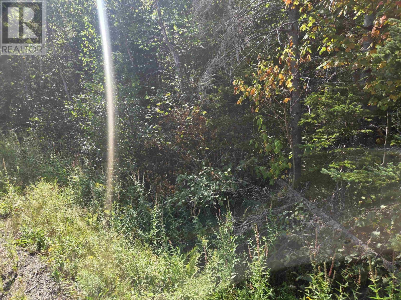 Culloden Road, Culloden, Nova Scotia  B0V 1A0 - Photo 6 - 202522103