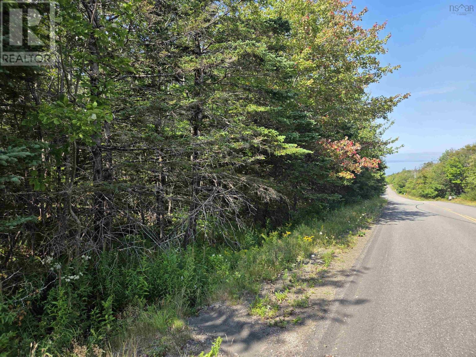 Culloden Road, Culloden, Nova Scotia  B0V 1A0 - Photo 7 - 202522103