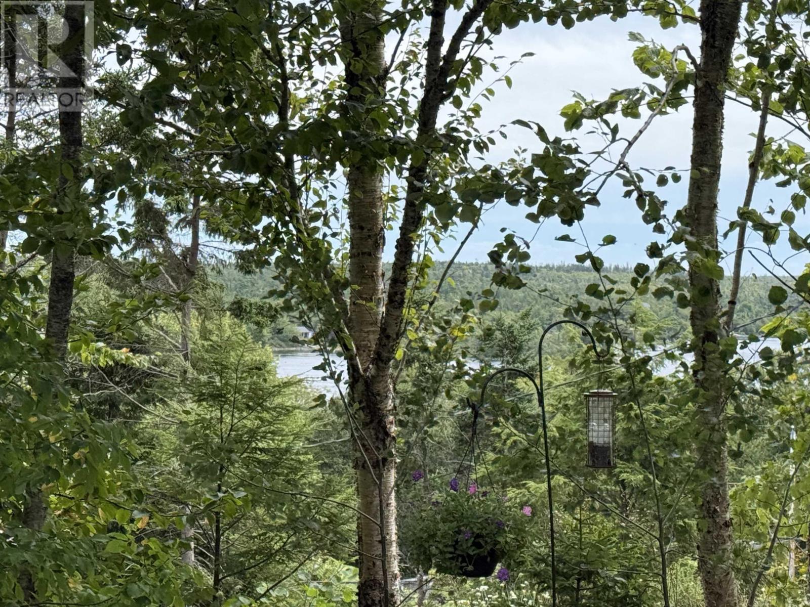 37 Echo Forest Drive, Lake Echo, Nova Scotia  B3E 1A2 - Photo 43 - 202522116