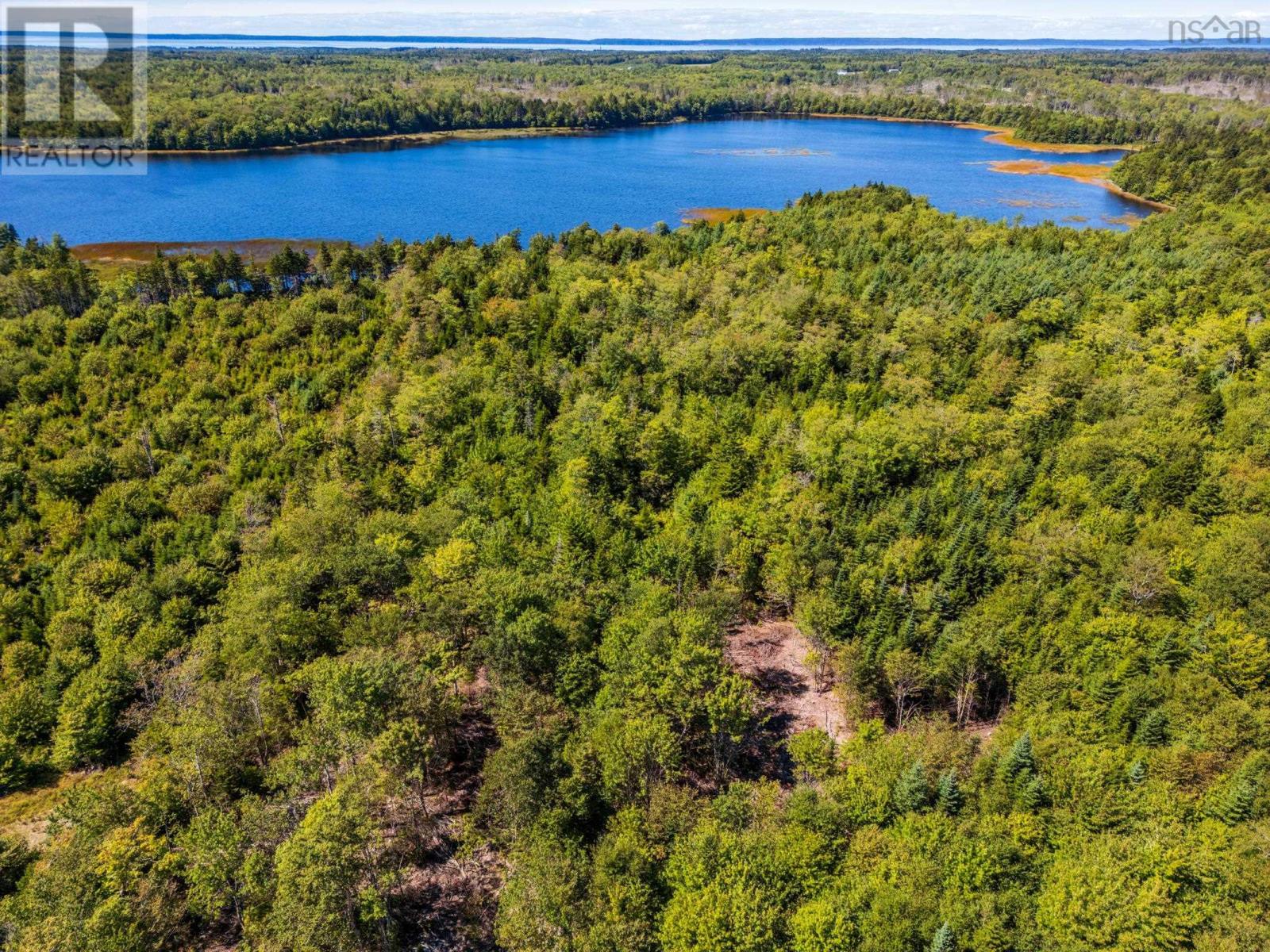 140 Henriette Bridge Road, Concession, Nova Scotia  B0W 1M0 - Photo 4 - 202522130