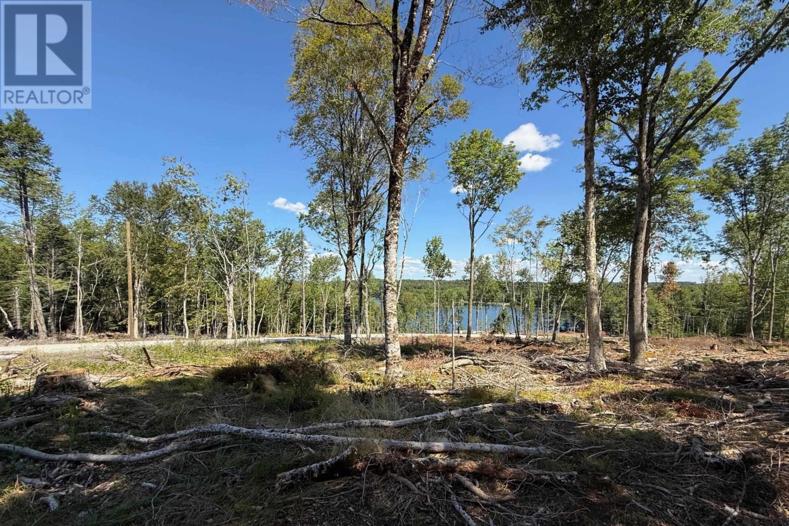 Lot 7 Sweetland Road, Sweetland, Nova Scotia  B0J 1E0 - Photo 4 - 202522161