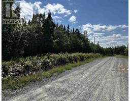 Blaze Road|The Banks of Loch Lomond, loch lomond, Nova Scotia
