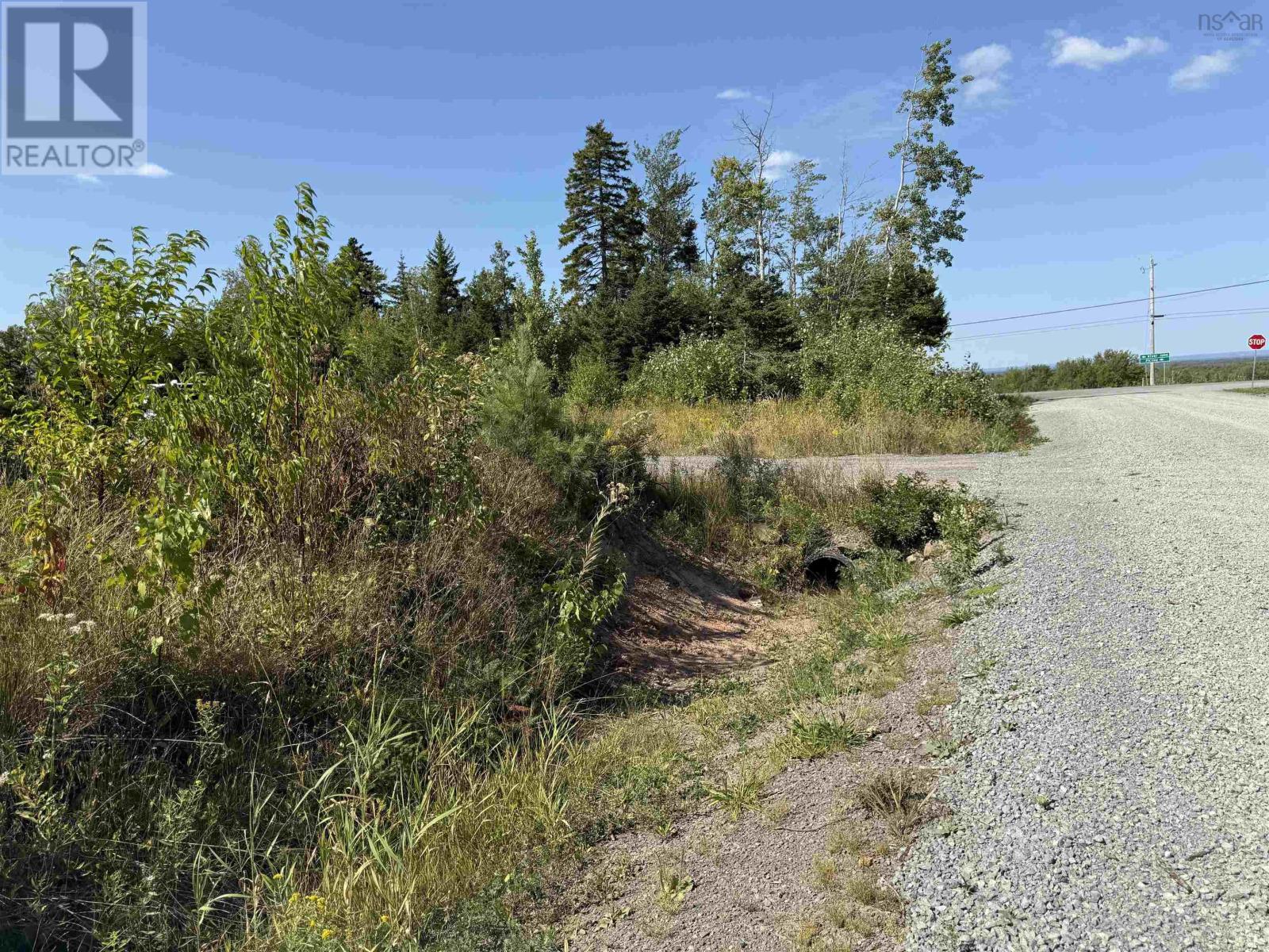 Land Beck Road, Scotch Hill, Nova Scotia  B0K 1H0 - Photo 4 - 202522298