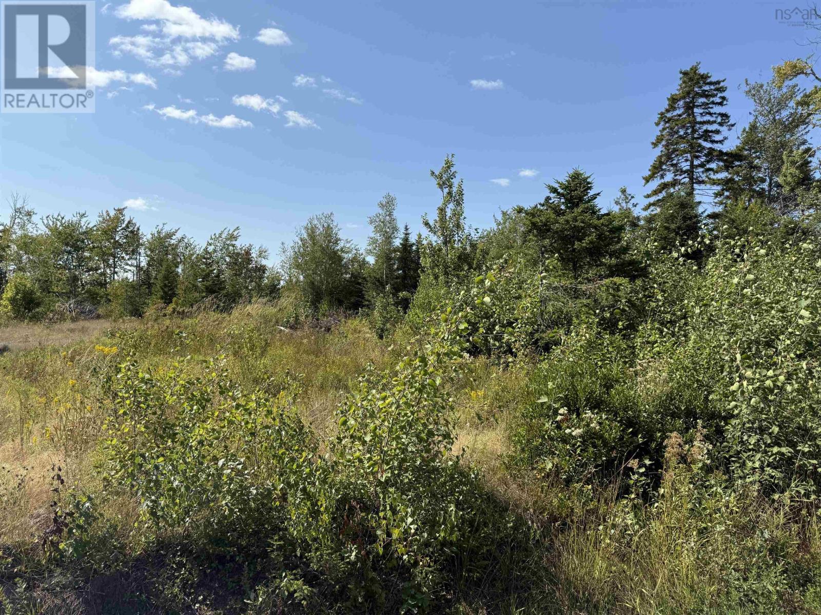 Land Beck Road, Scotch Hill, Nova Scotia  B0K 1H0 - Photo 8 - 202522298