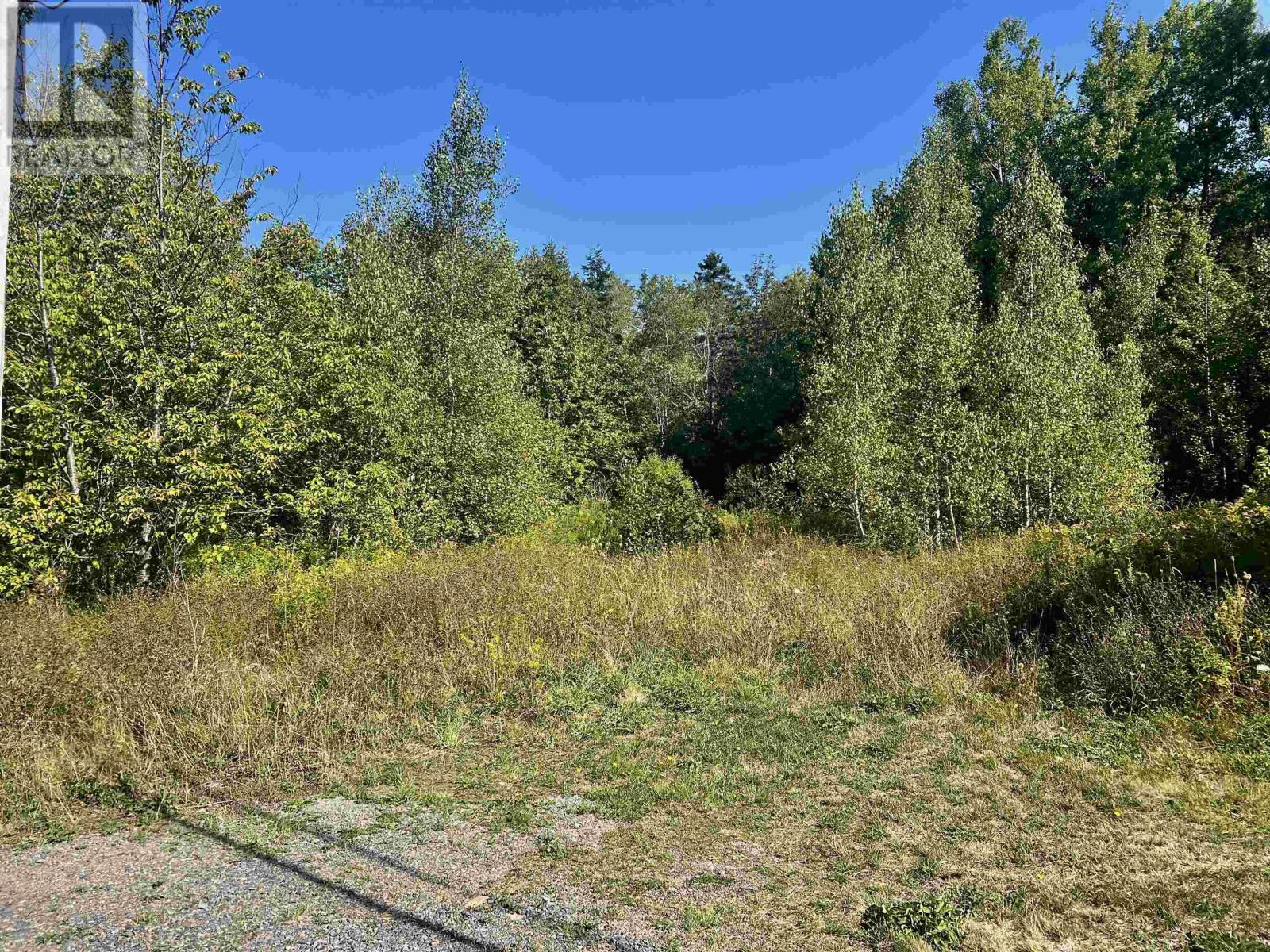 2438 Greenfield Road, Forest Hill, Nova Scotia  B4P 2R1 - Photo 5 - 202522377