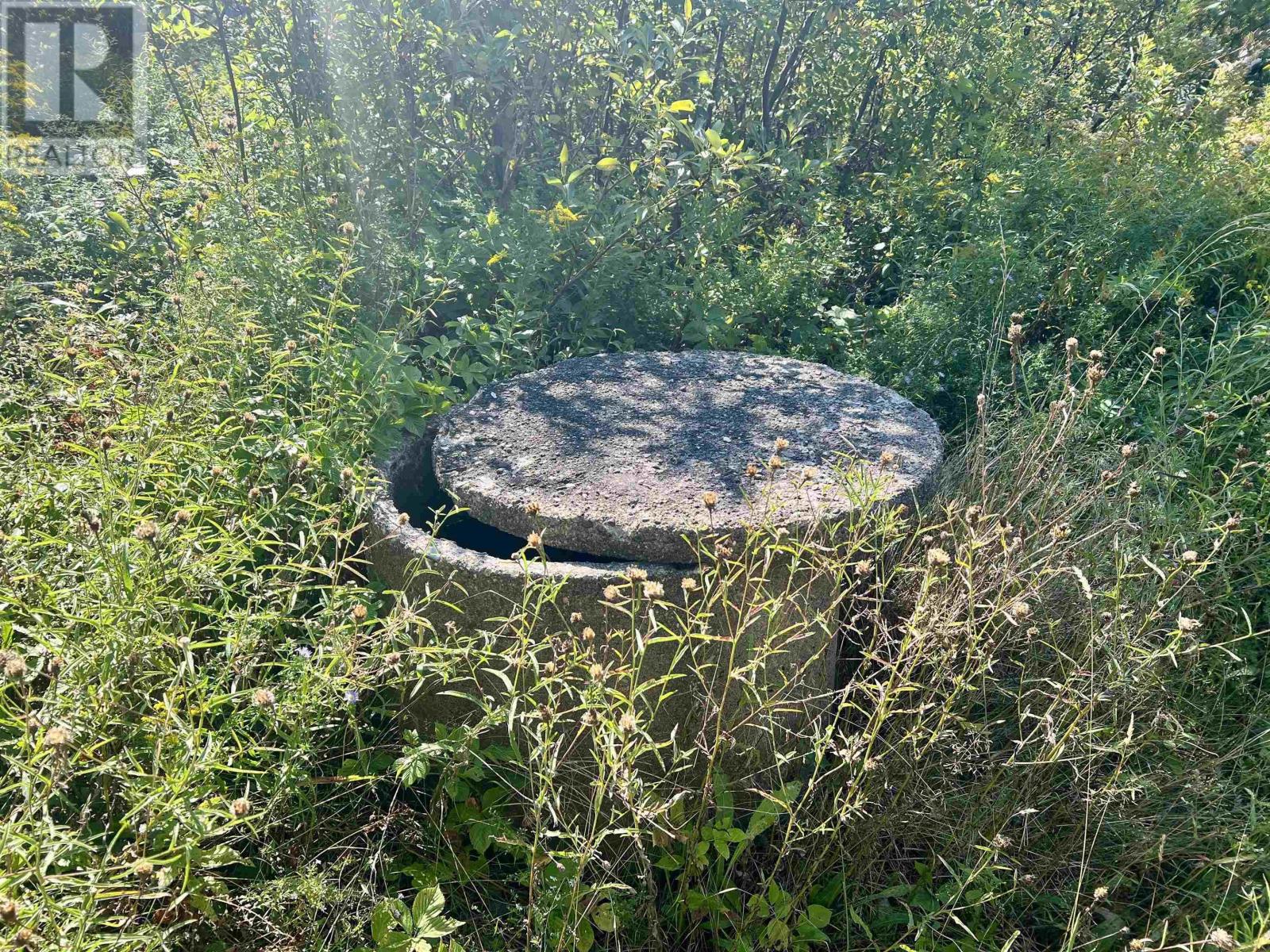 2438 Greenfield Road, Forest Hill, Nova Scotia  B4P 2R1 - Photo 6 - 202522377