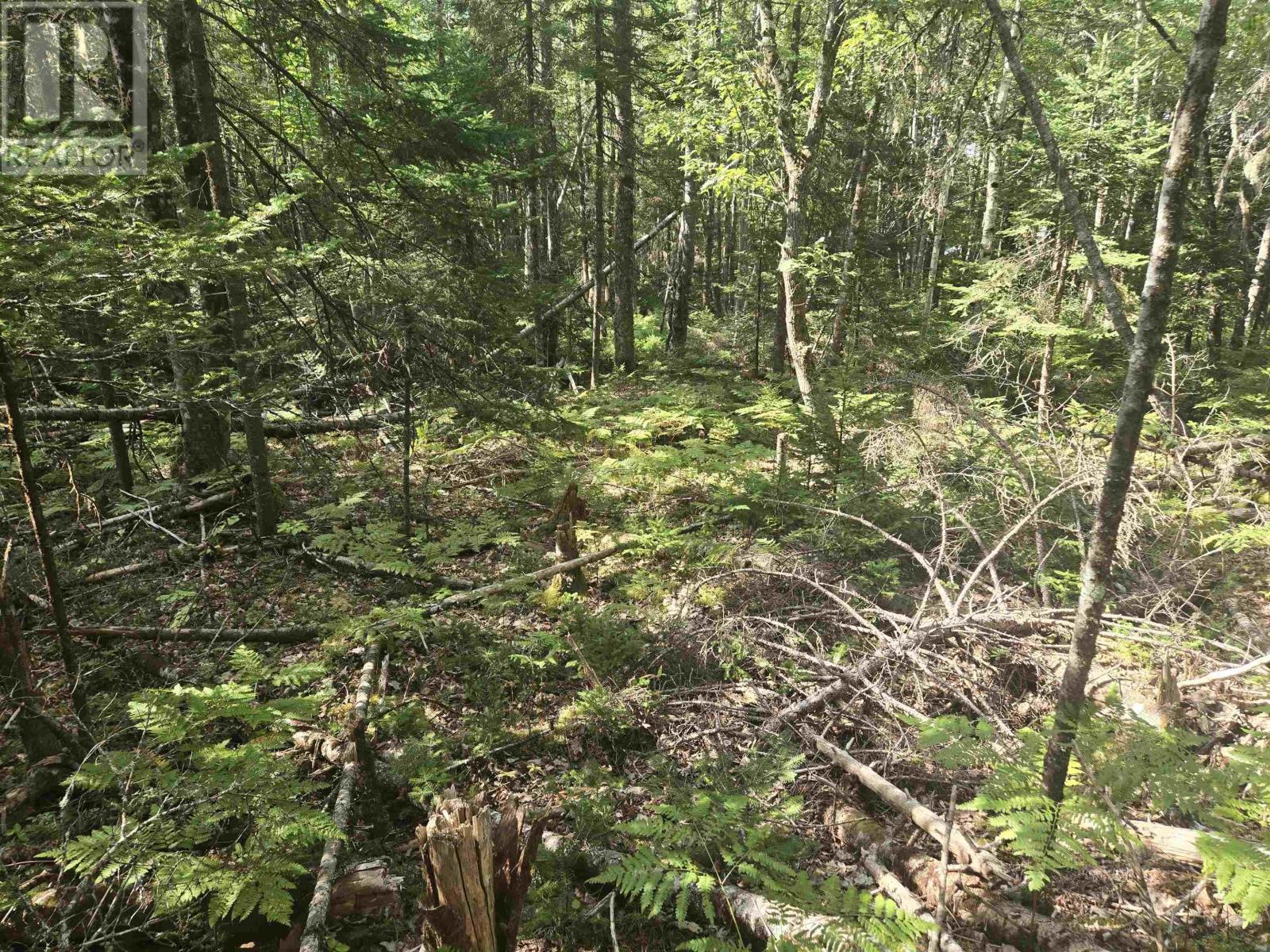 Lot Northfield Road, Upper Northfield, Nova Scotia  B0R 1E0 - Photo 10 - 202522385
