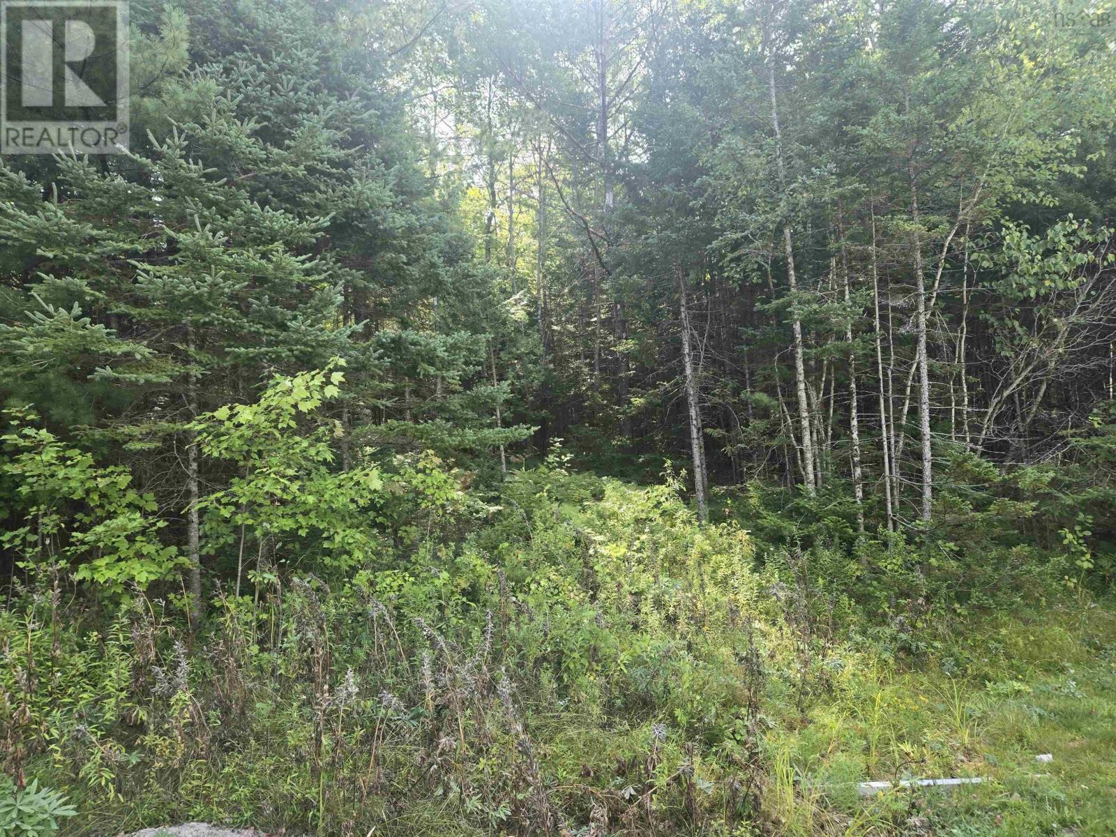 Lot Northfield Road, Upper Northfield, Nova Scotia  B0R 1E0 - Photo 8 - 202522385