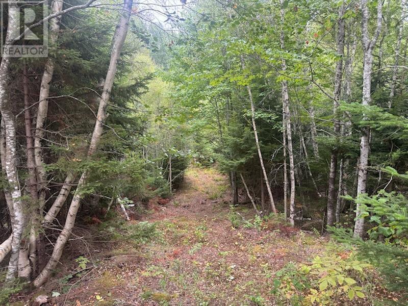 420 Highway 246, Wentworth, Nova Scotia  B0M 1Z0 - Photo 46 - 202522396