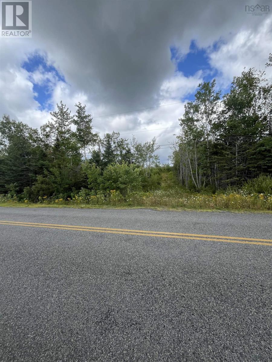 313 Mark Road, Riverton, Nova Scotia  B0K 1S0 - Photo 6 - 202522477