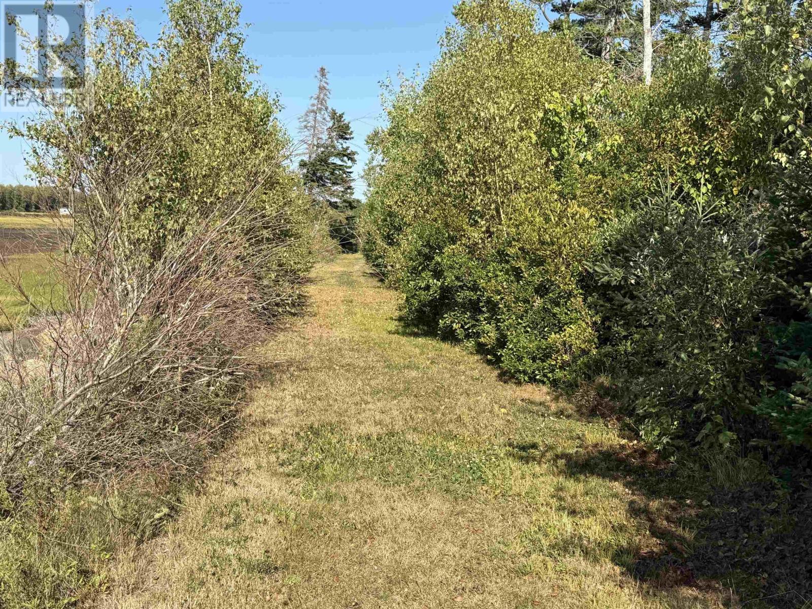 3 Island Rd Extension, Malagash, Nova Scotia  B0K 1E0 - Photo 6 - 202522520