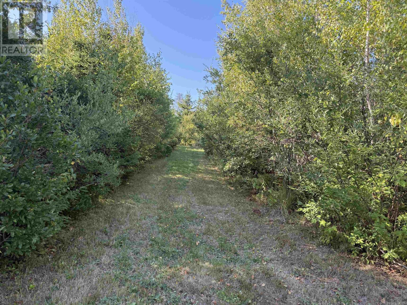 3 Island Rd Extension, Malagash, Nova Scotia  B0K 1E0 - Photo 8 - 202522520