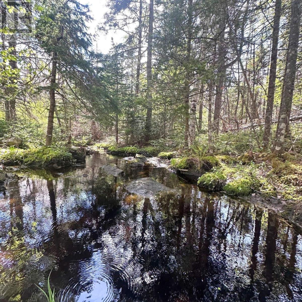 8630 Highway 331, Voglers Cove, Nova Scotia  B0J 2H0 - Photo 20 - 202522551