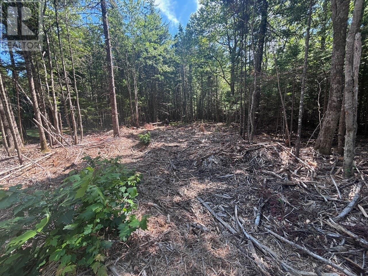 11A Nicholas Drive, hammonds plains, Nova Scotia