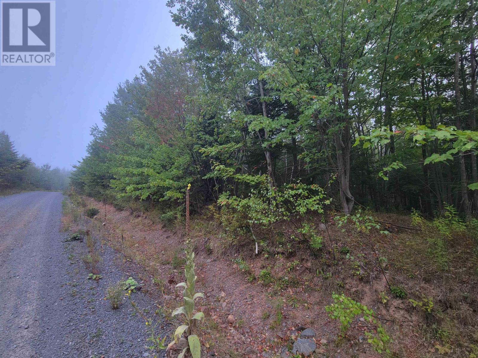 Lot 2 Wilson Road, Upper Rawdon, Nova Scotia  B0N 2N0 - Photo 11 - 202522565