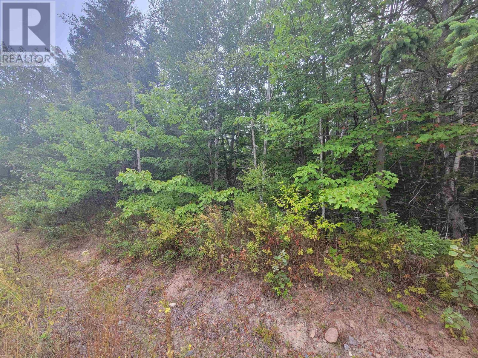 Lot 2 Wilson Road, Upper Rawdon, Nova Scotia  B0N 2N0 - Photo 5 - 202522565