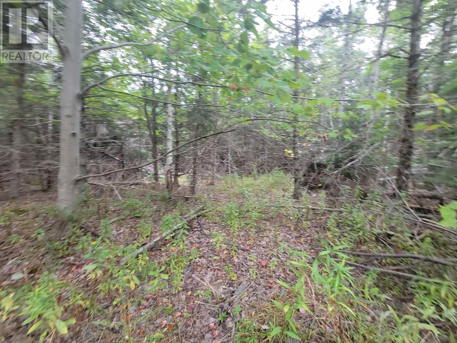 Lot 2 Wilson Road, Upper Rawdon, Nova Scotia  B0N 2N0 - Photo 7 - 202522565