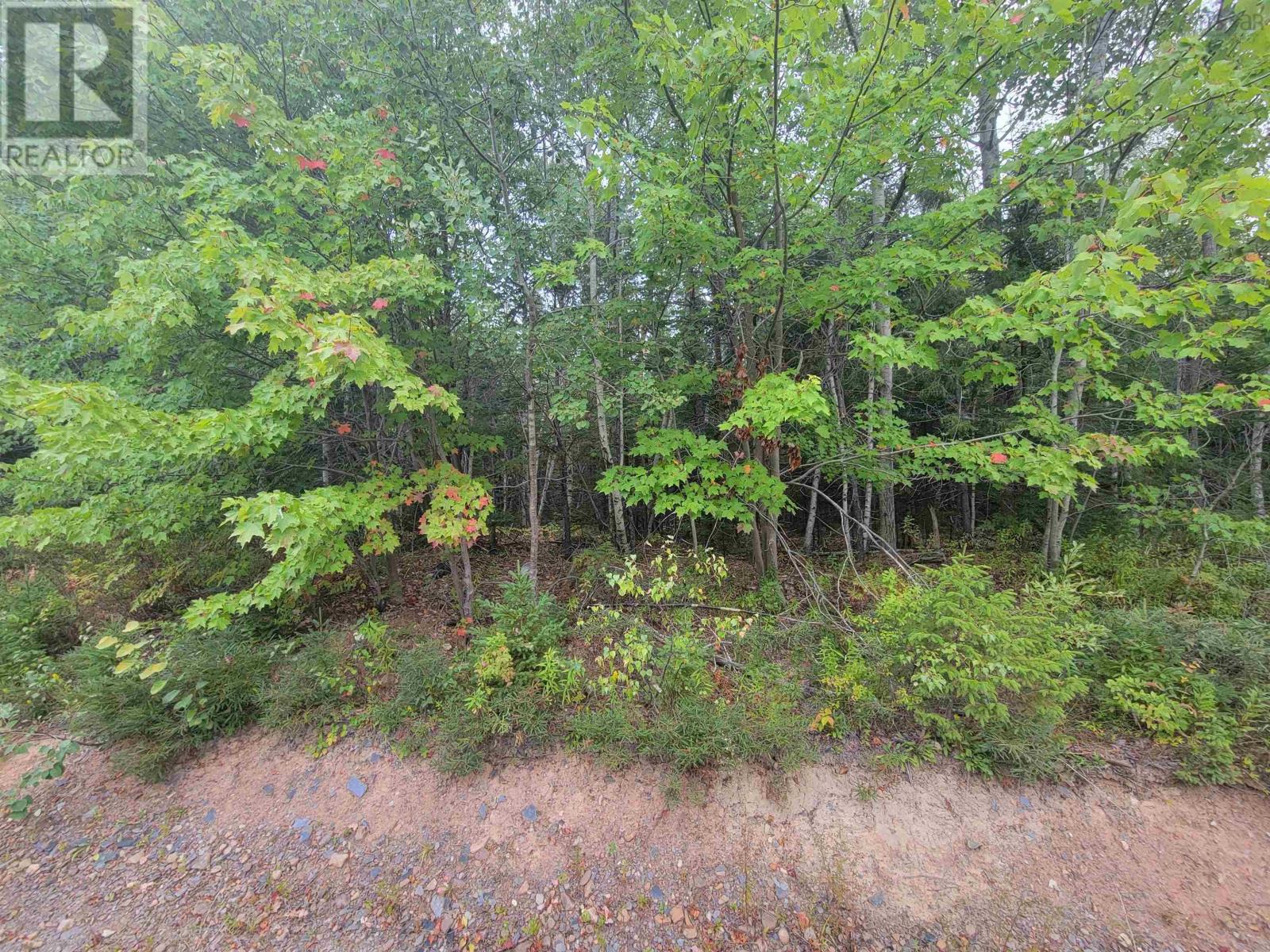 Lot 3 Wilson Drive, Upper Rawdon, Nova Scotia  B0N 2N0 - Photo 11 - 202522566