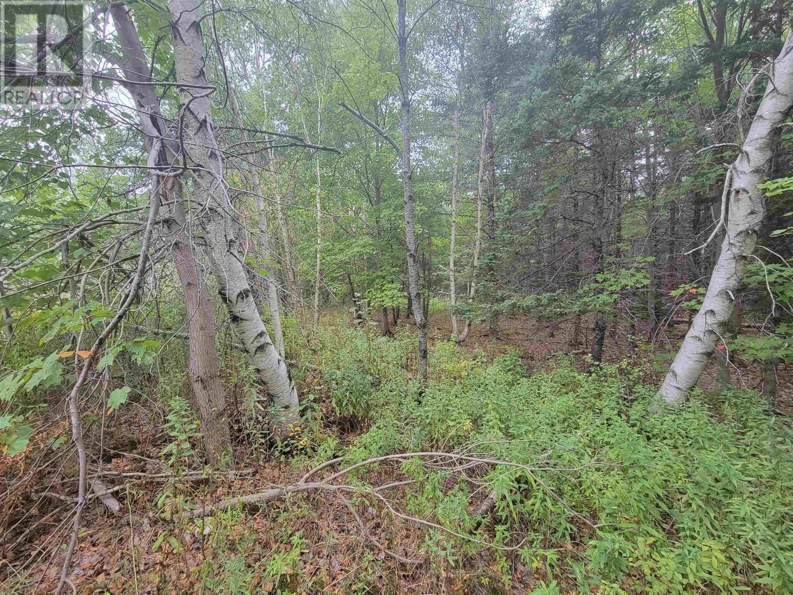 Lot 3 Wilson Drive, Upper Rawdon, Nova Scotia  B0N 2N0 - Photo 13 - 202522566