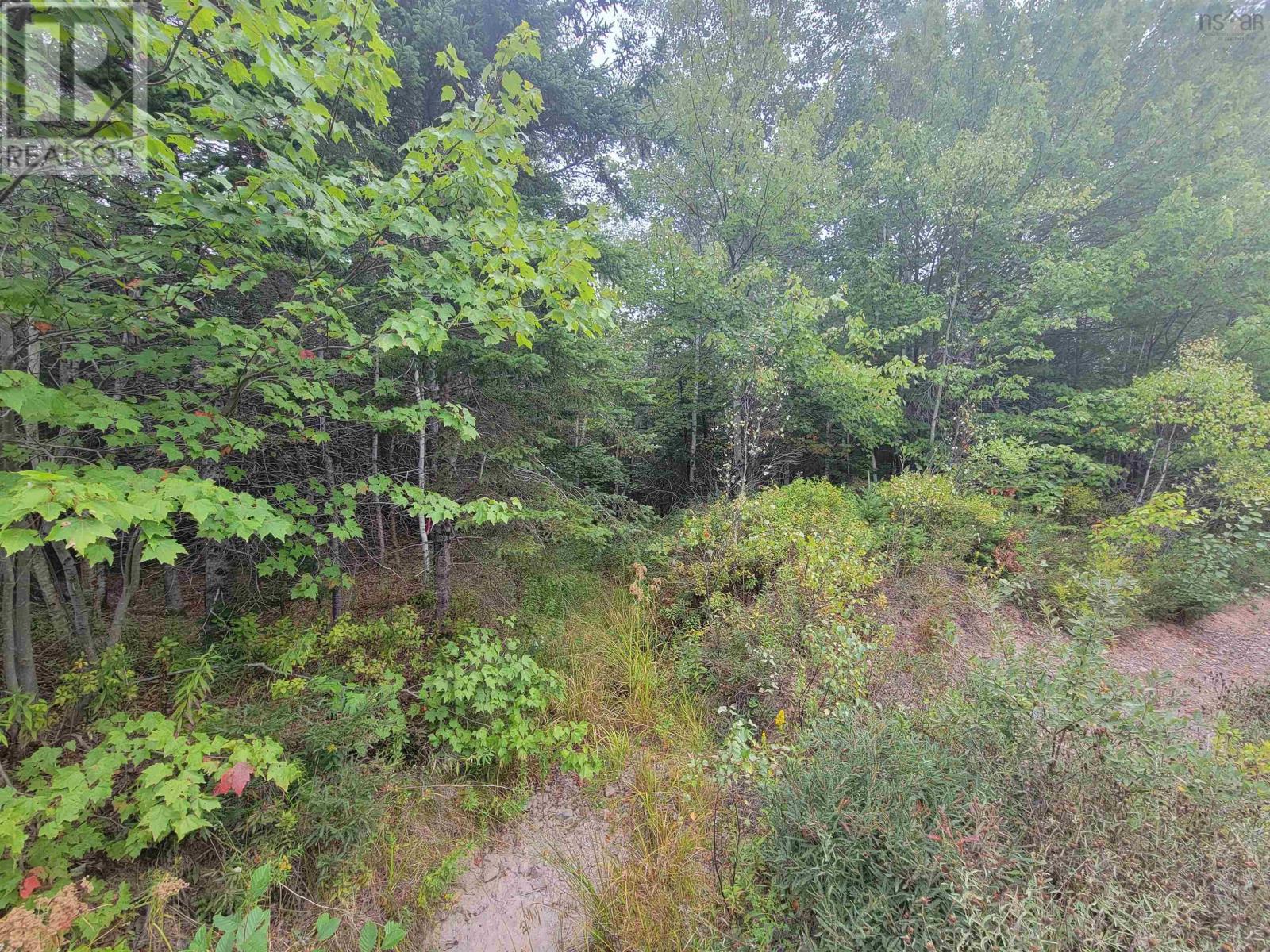 Lot 3 Wilson Drive, Upper Rawdon, Nova Scotia  B0N 2N0 - Photo 3 - 202522566