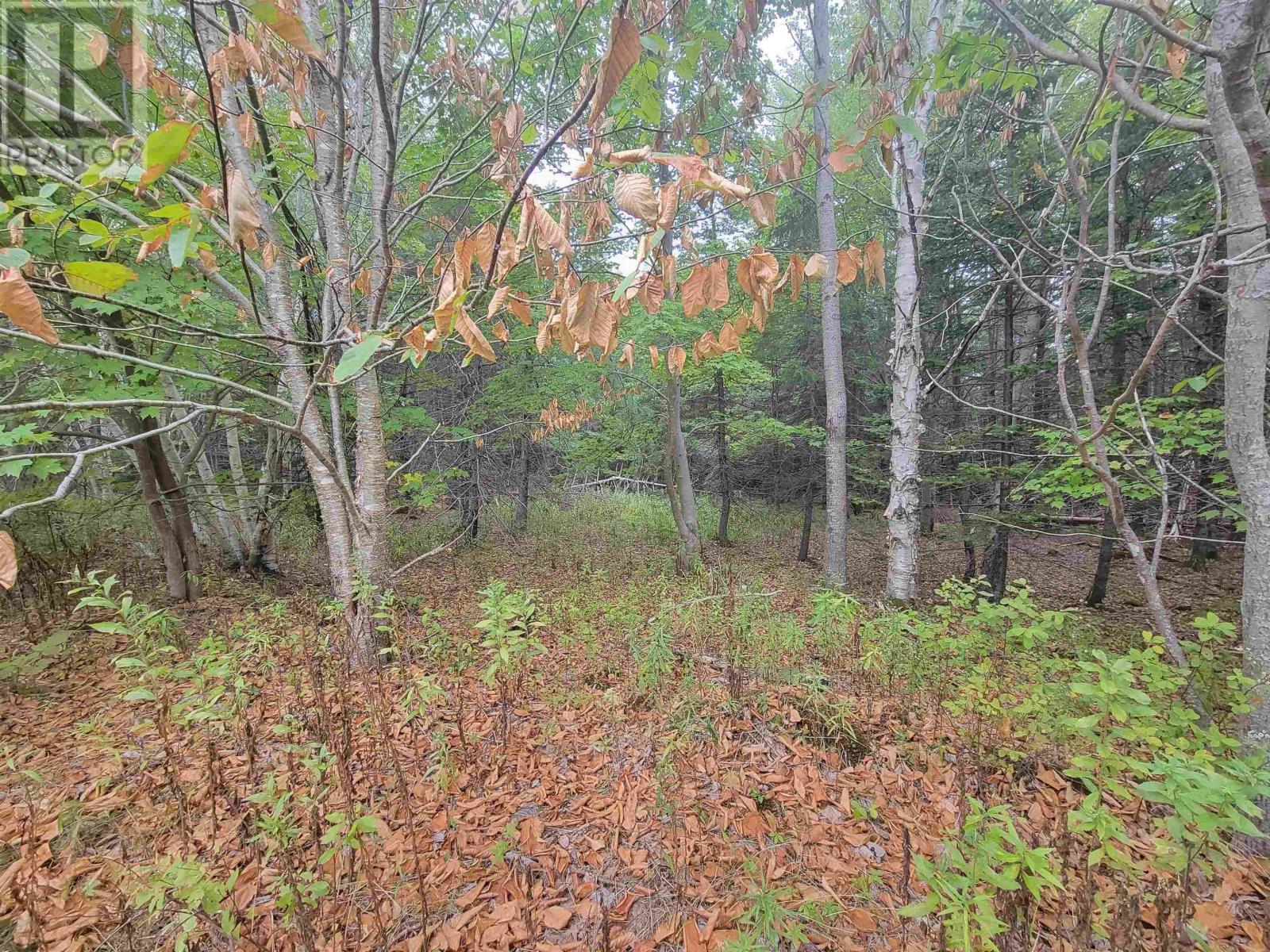 Lot 3 Wilson Drive, Upper Rawdon, Nova Scotia  B0N 2N0 - Photo 8 - 202522566