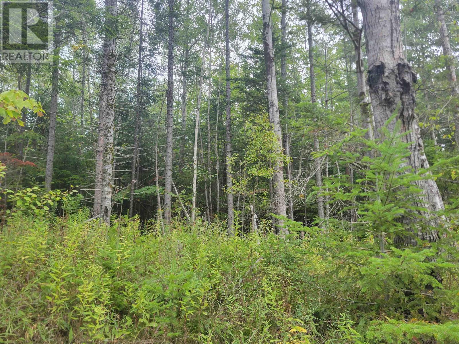 Lot 4 Wilson Drive, Upper Rawdon, Nova Scotia  B0N 2N0 - Photo 10 - 202522567