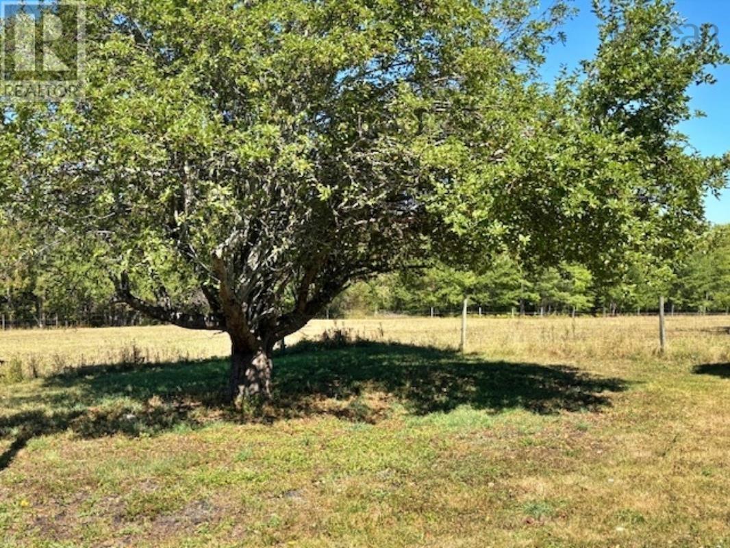 750 Highway 210, Waterloo, Nova Scotia  B4V 8J5 - Photo 4 - 202522595