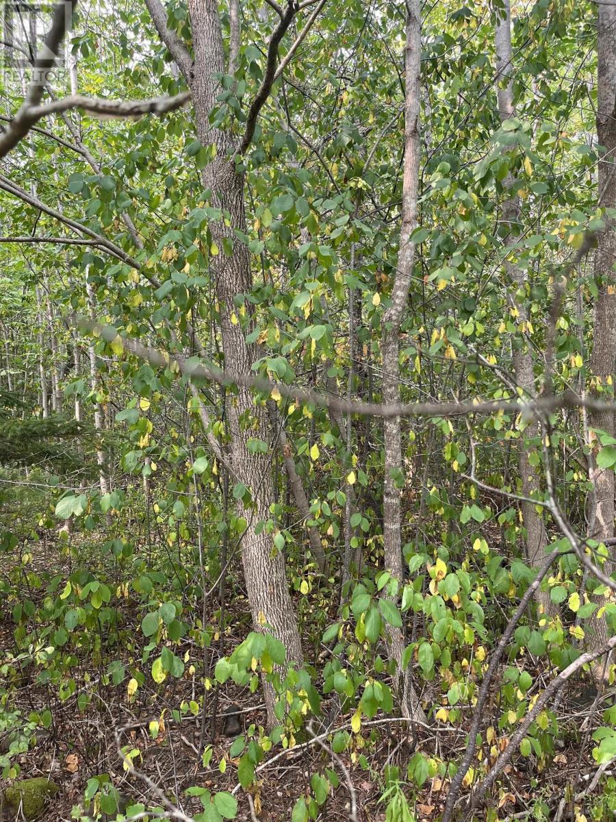 Lot 5 Granville Road, Karsdale, Nova Scotia  B0S 1A0 - Photo 11 - 202522684